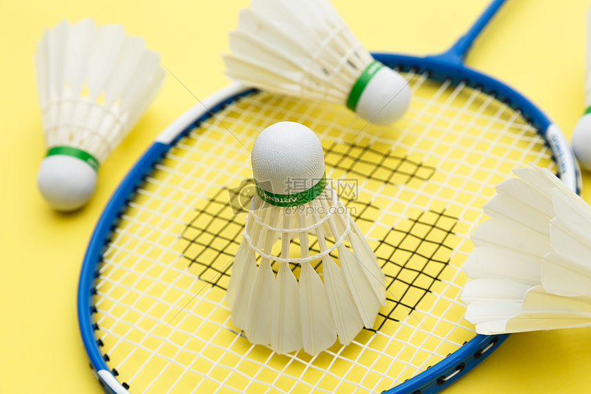 球迷和媒体 球迷和媒体