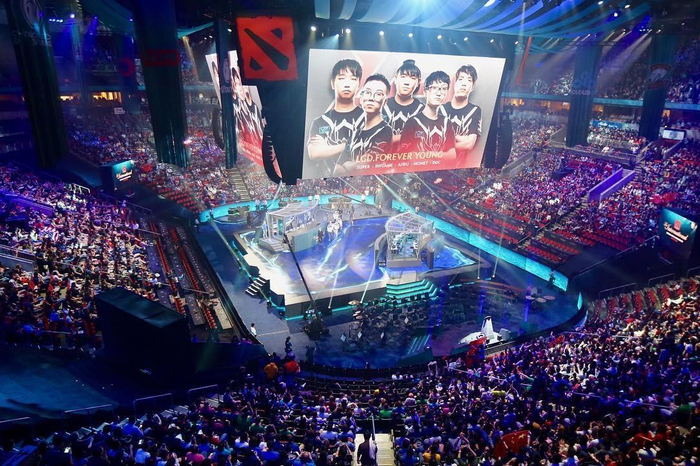 这一机制释 这一机制释