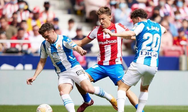 冠賽場的 冠賽場的